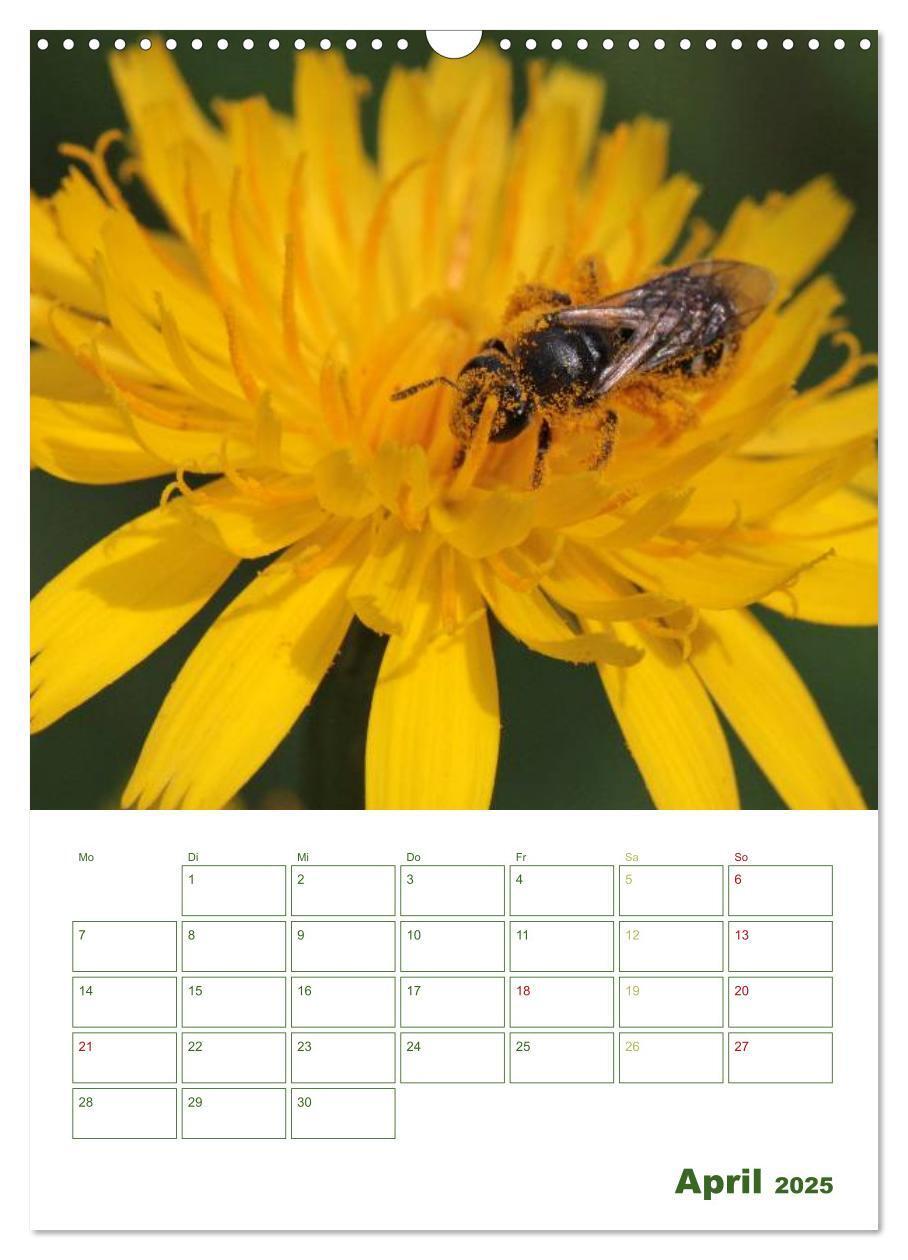 Bild: 9783457030493 | Bienen-Terminplaner 2025 (Wandkalender 2025 DIN A3 hoch), CALVENDO...