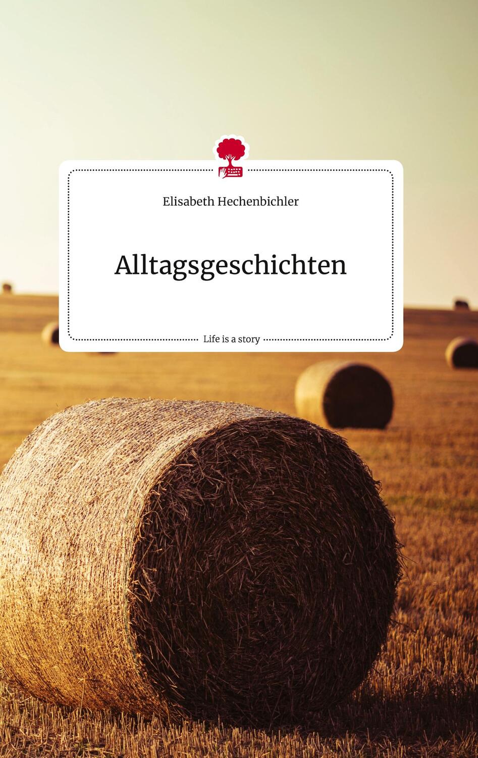 Cover: 9783710819629 | Alltagsgeschichten. Life is a Story - story.one | Elisabeth | Buch