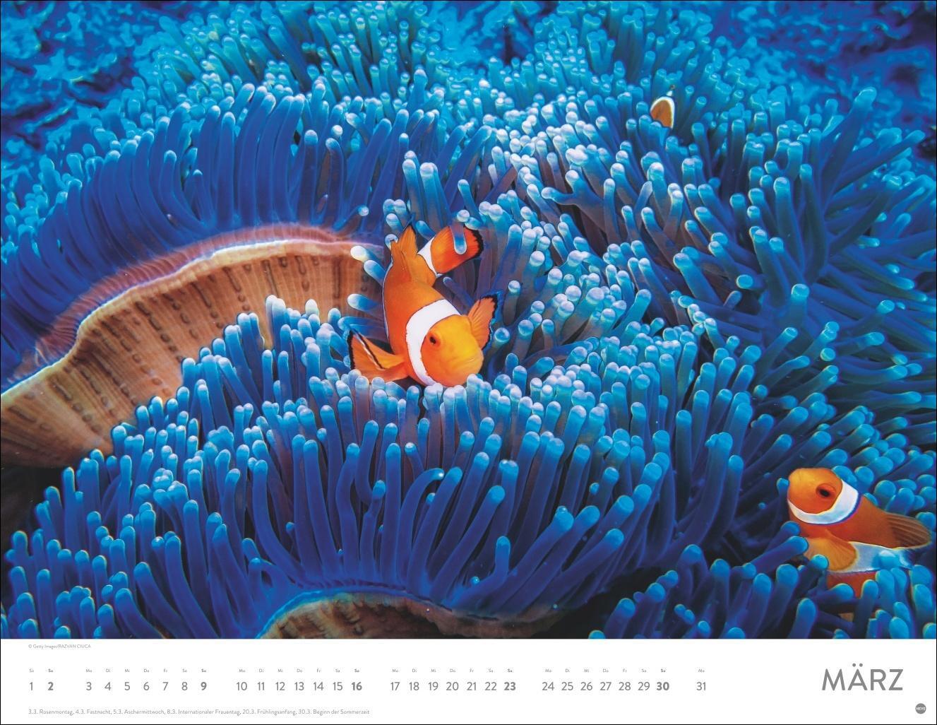 Bild: 9783756405121 | Unterwasser Posterkalender 2025 | Kalender | Spiralbindung | 14 S.