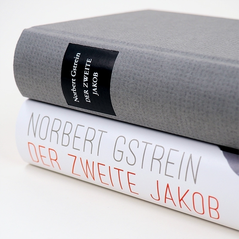 Bild: 9783446269163 | Der zweite Jakob | Norbert Gstrein | Buch | Mit Lesebändchen | 448 S.