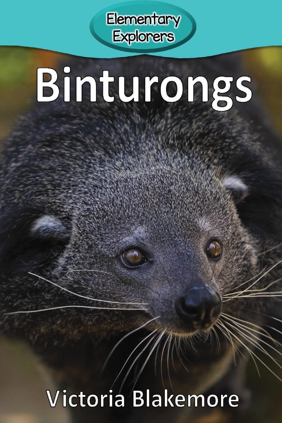 Cover: 9781947439382 | Binturongs | Victoria Blakemore | Taschenbuch | Elementary Explorers
