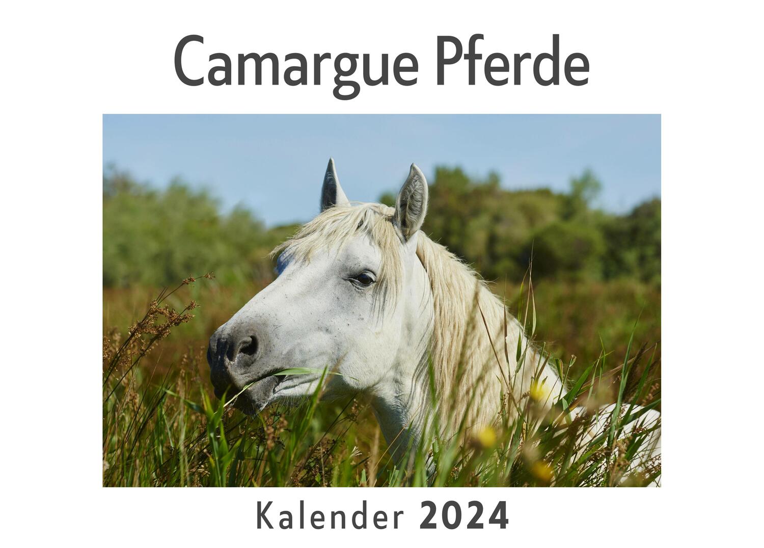 Cover: 9783750556904 | Camargue Pferde (Wandkalender 2024, Kalender DIN A4 quer,...