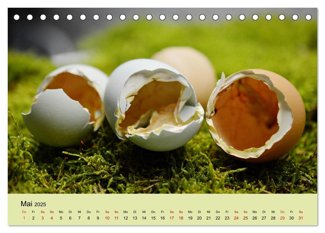 Bild: 9783435335893 | Vom Ei zum Huhn. Die Entwicklung von Küken (Tischkalender 2025 DIN...