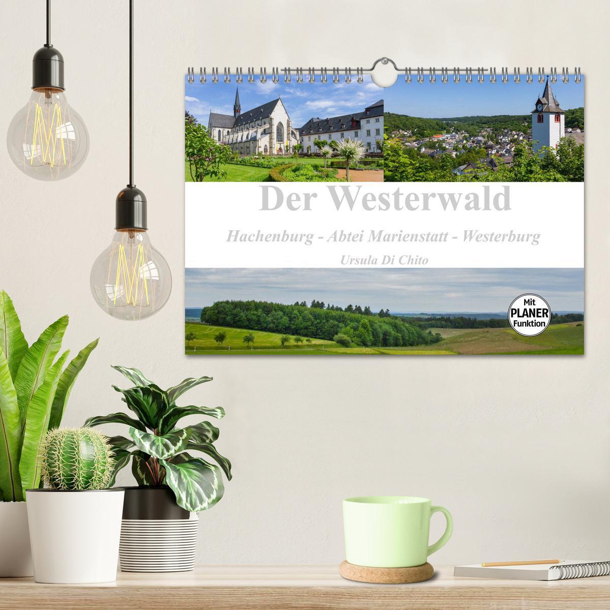 Bild: 9783435552597 | Der Westerwald (Wandkalender 2025 DIN A4 quer), CALVENDO...