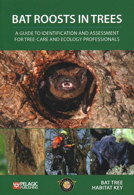 Cover: 9781784271619 | Bat Roosts Trees: Guide Identification | Bat Tree Habitat Key | Buch