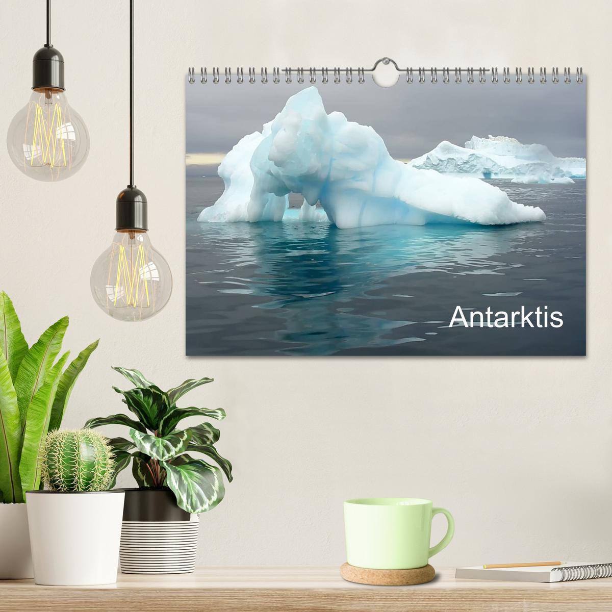 Bild: 9783435842568 | Antarktis (Wandkalender 2025 DIN A4 quer), CALVENDO Monatskalender