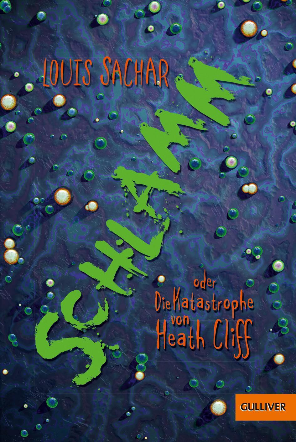 Cover: 9783407748652 | Schlamm oder Die Katastrophe von Heath Cliff | Louis Sachar | Buch
