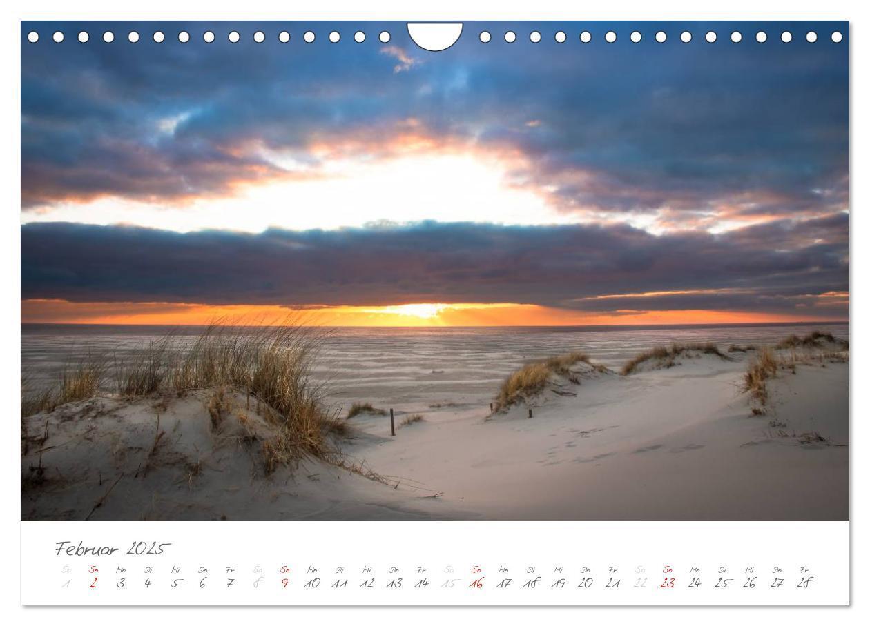 Bild: 9783435601738 | Amrum - Eine farbenfrohe Insellandschaft (Wandkalender 2025 DIN A4...