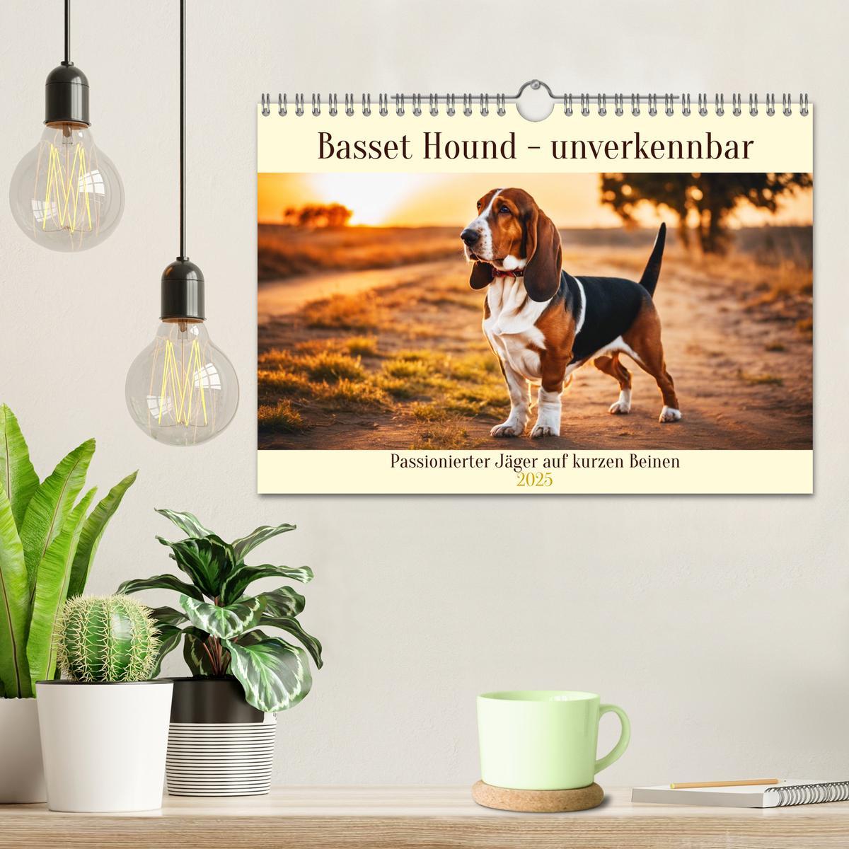 Bild: 9783457054208 | Basset Hound - unverkennbar (Wandkalender 2025 DIN A4 quer),...