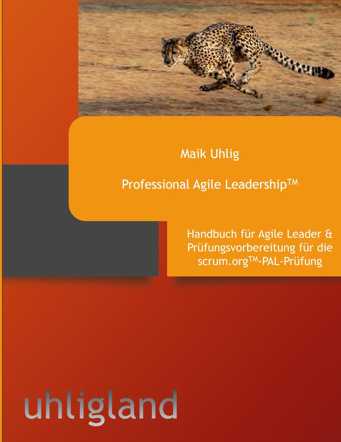 Cover: 9783757887049 | Professional Agile Leadership | Maik Uhlig | Taschenbuch | Paperback