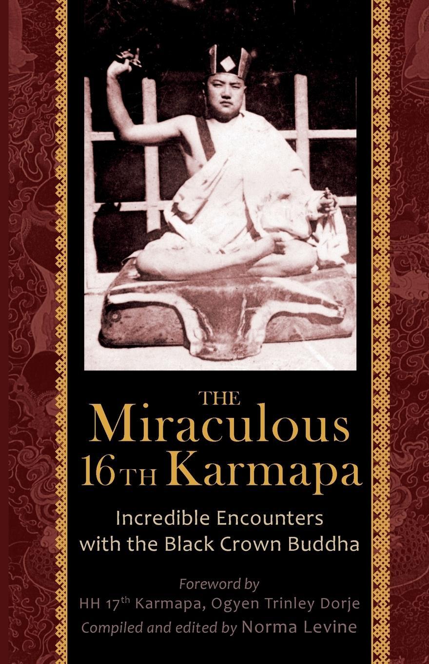 Cover: 9788878341333 | The Miraculous 16th Karmapa | Taschenbuch | Paperback | Englisch