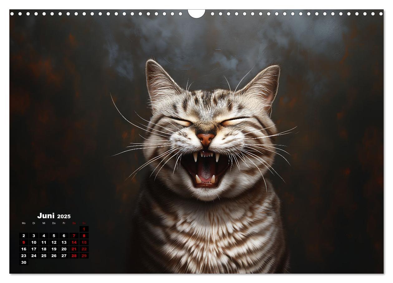 Bild: 9783457202005 | Auch Katzen lachen gern (Wandkalender 2025 DIN A3 quer), CALVENDO...