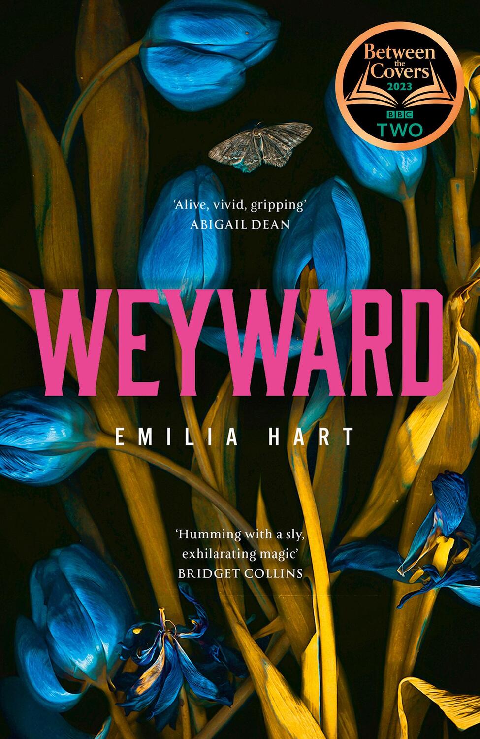 Cover: 9780008499082 | Weyward | Emilia Hart | Buch | Englisch | 2023 | EAN 9780008499082