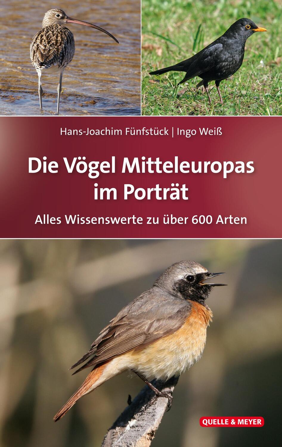 Cover: 9783494016740 | Die Vögel Mitteleuropas im Porträt | Hans-Joachim Fünfstück (u. a.)