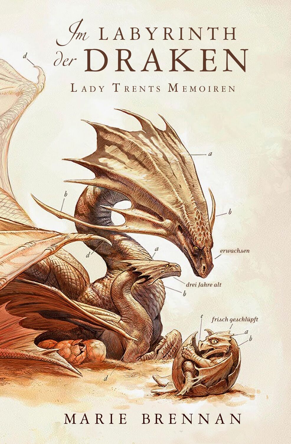 Cover: 9783959818063 | Lady Trents Memoiren 4 | Im Labyrinth der Draken | Marie Brennan