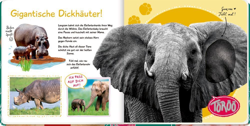 Bild: 9783649640493 | Fühl mal hier, kennst du das Tier? Wilde Tiere | Buch | 10 S. | 2022