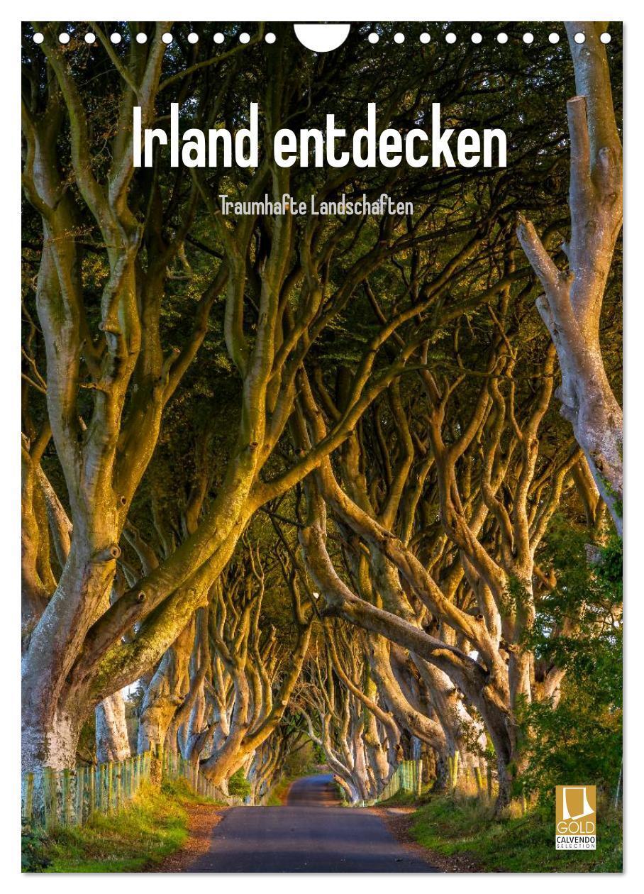 Cover: 9783383427657 | Irland entdecken (Wandkalender 2024 DIN A4 hoch), CALVENDO...