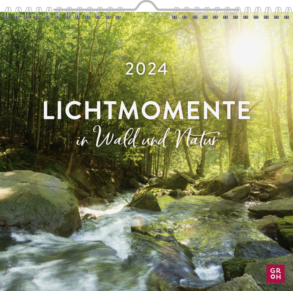 Cover: 4036442010594 | Wandkalender 2024: Lichtmomente in Wald und Natur | Groh Verlag | 2024