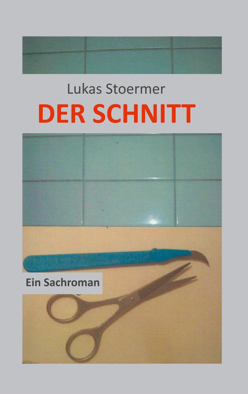 Cover: 9783758373787 | Der Schnitt | EinSachroman | Lukas Stoermer | Taschenbuch | Paperback