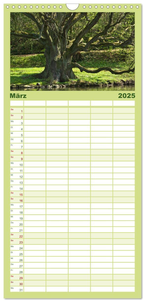 Bild: 9783457126318 | Familienplaner 2025 - Baum-Variationen mit 5 Spalten (Wandkalender,...