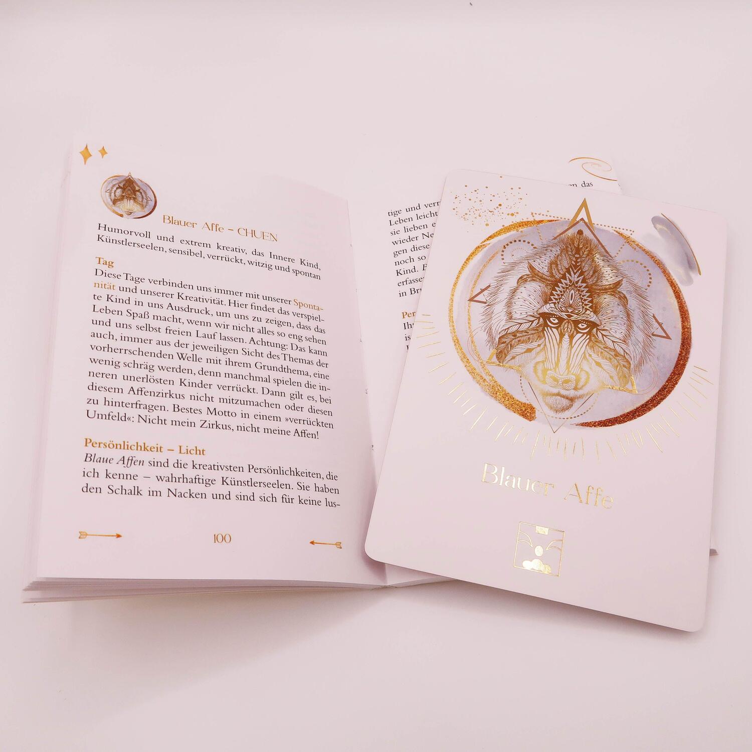 Bild: 9783868268003 | Maya-Astro-Cards: 44 astrologische Orakelkarten mit Booklet | Buch