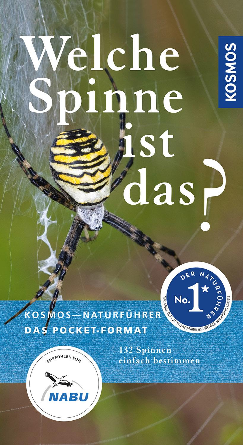 Cover: 9783440168288 | Welche Spinne ist das? | Kosmos Basic | Martin Baehr | Taschenbuch