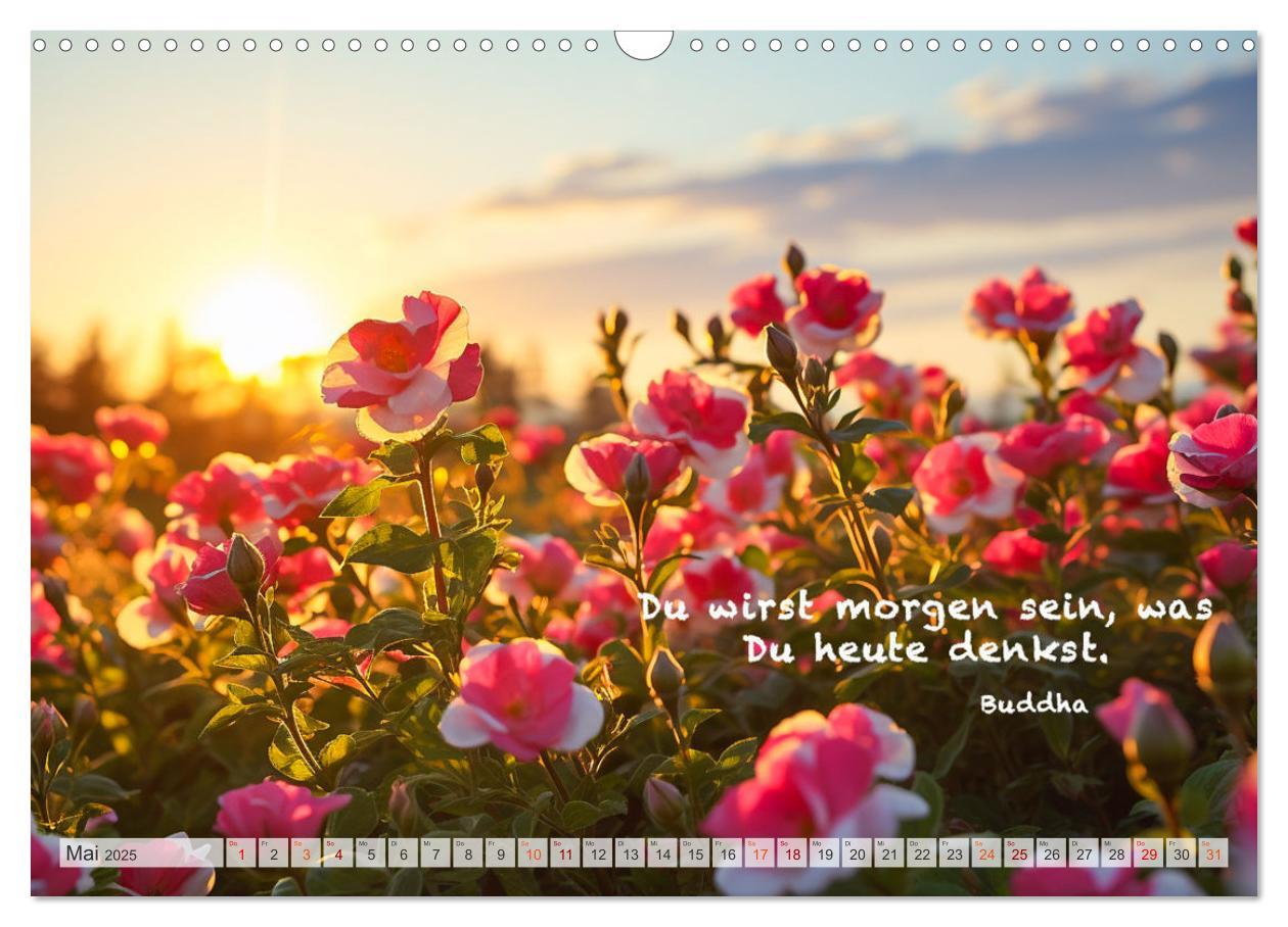 Bild: 9783383909184 | Meditation und innerer Frieden (Wandkalender 2025 DIN A3 quer),...