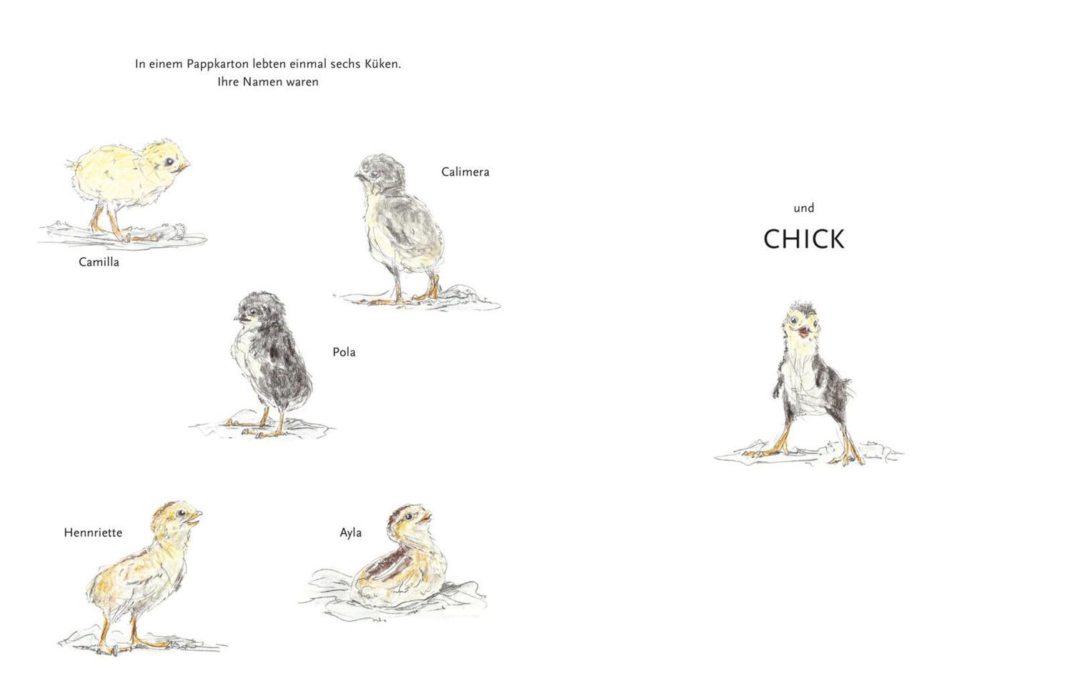 Bild: 9783522459693 | Chick | Ein Huhn stellt die Geschlechterrollen auf den Kopf | Buch
