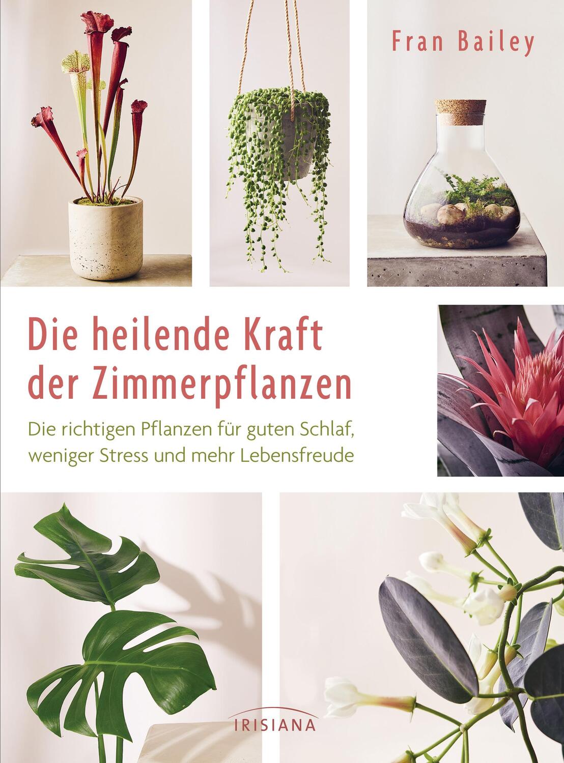 Cover: 9783424153712 | Die heilende Kraft der Zimmerpflanzen | Fran Bailey | Buch | 192 S.