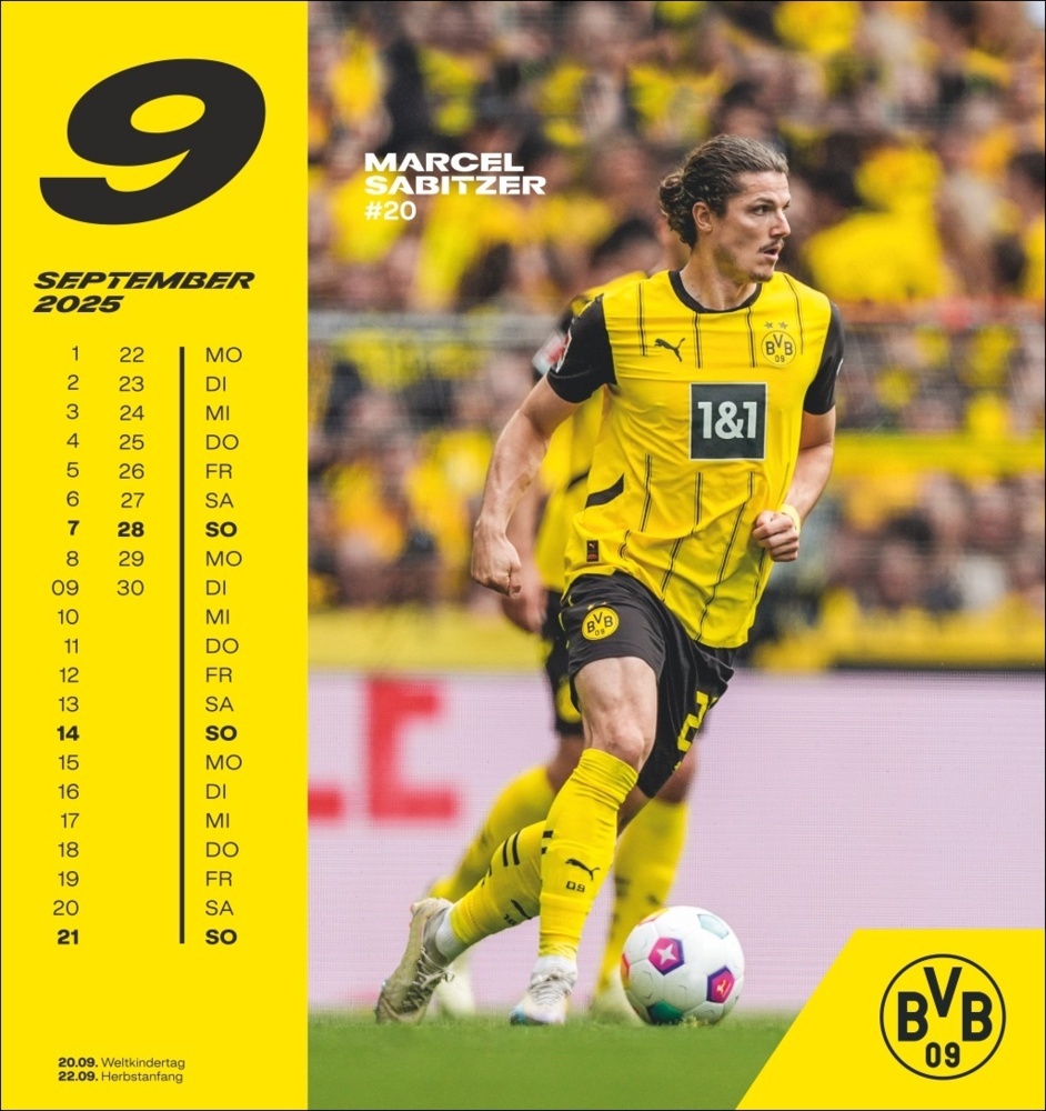 Bild: 9783756405473 | BVB Postkartenkalender 2025 | Kalender | Spiralbindung | 13 S. | 2025