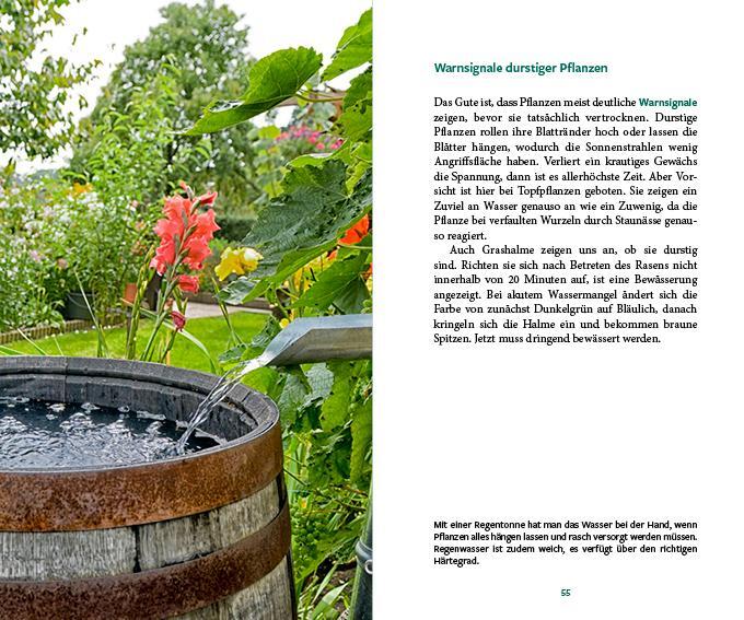 Bild: 9783710403118 | Gärtnern im Wandel | Wie der Garten klimafest wird | Veronika Schubert