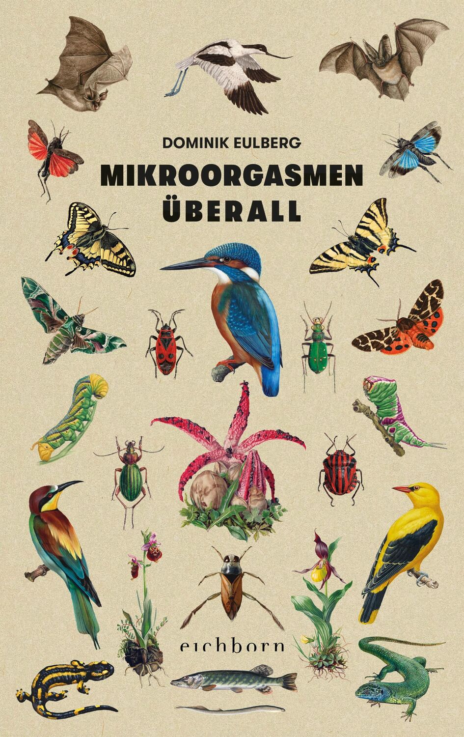 Cover: 9783847900658 | Mikroorgasmen überall | Dominik Eulberg | Buch | 352 S. | Deutsch