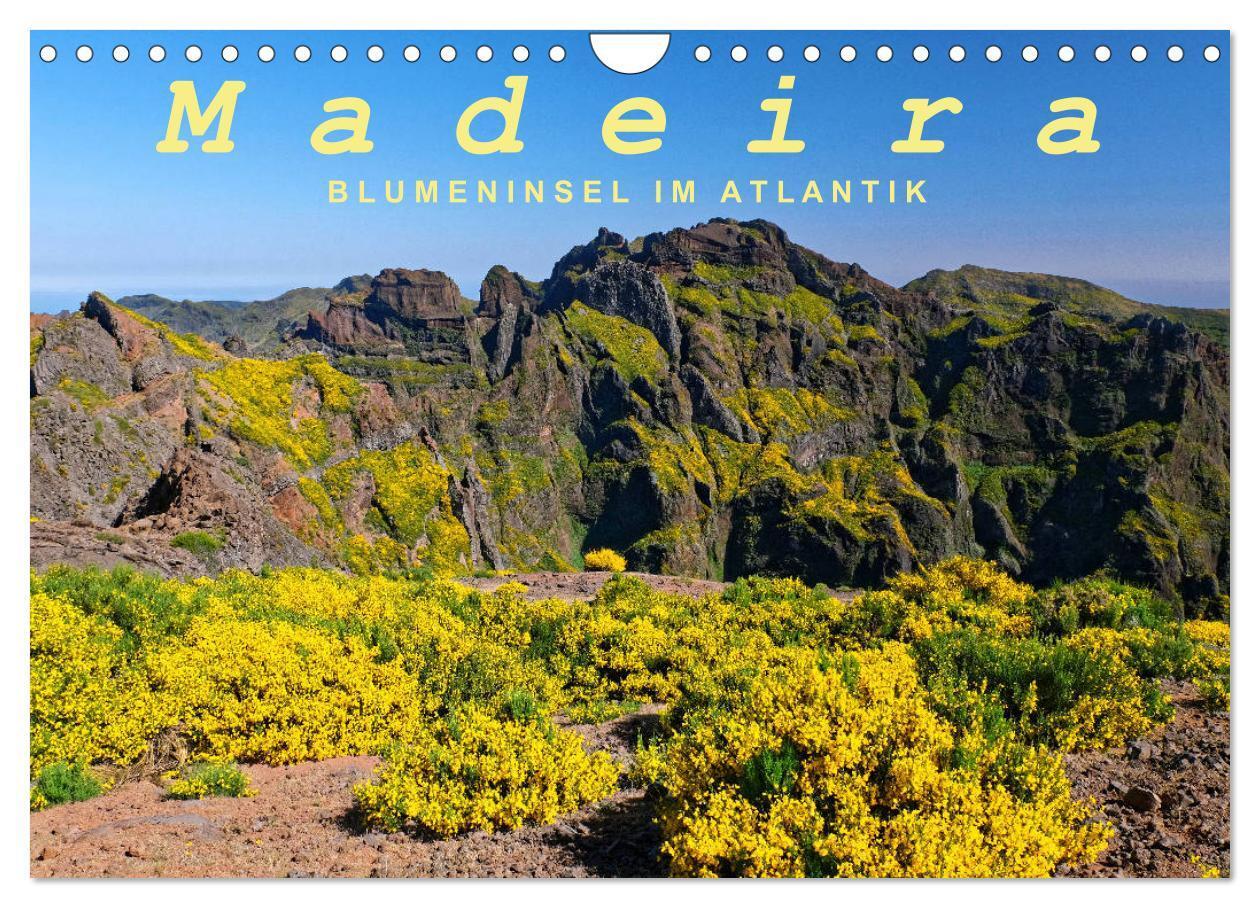 Cover: 9783383794247 | Madeira Blumeninsel im Atlantik (Wandkalender 2025 DIN A4 quer),...