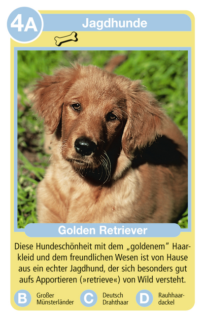 Bild: 4005556204205 | Ravensburger 20420 - Tierquartett Hunde, Klassiker für 3-6 Spieler...