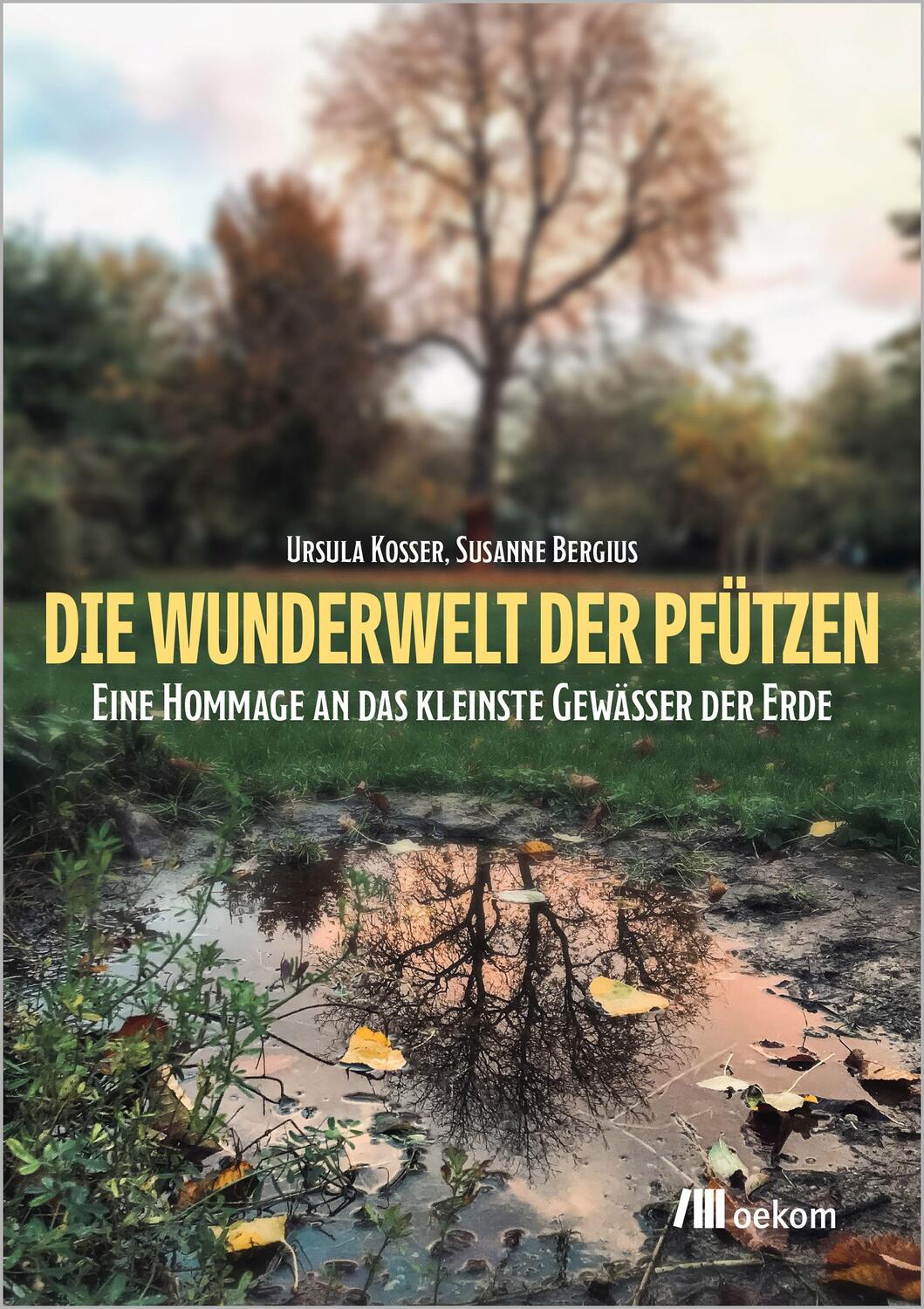 Cover: 9783987260148 | Die Wunderwelt der Pfützen | Ursula Kosser (u. a.) | Taschenbuch