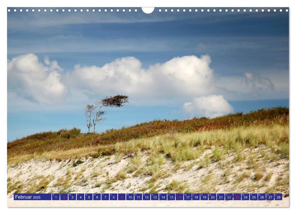 Bild: 9783435781973 | Weststrand Darß (Wandkalender 2025 DIN A3 quer), CALVENDO...