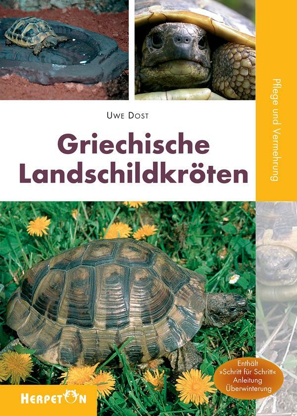 Cover: 9783936180190 | Griechische Landschildkröten | Pflege und Vermehrung | Uwe Dost | Buch