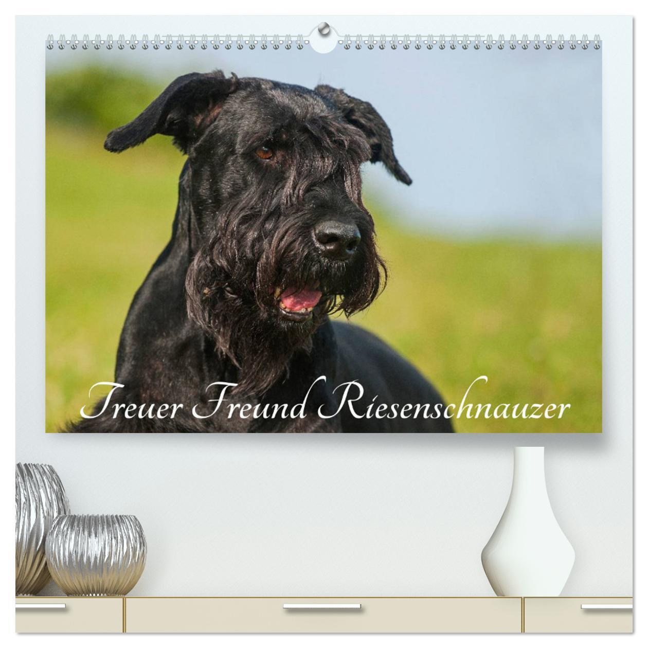 Cover: 9783435572663 | Treuer Freund Riesenschnauzer (hochwertiger Premium Wandkalender...