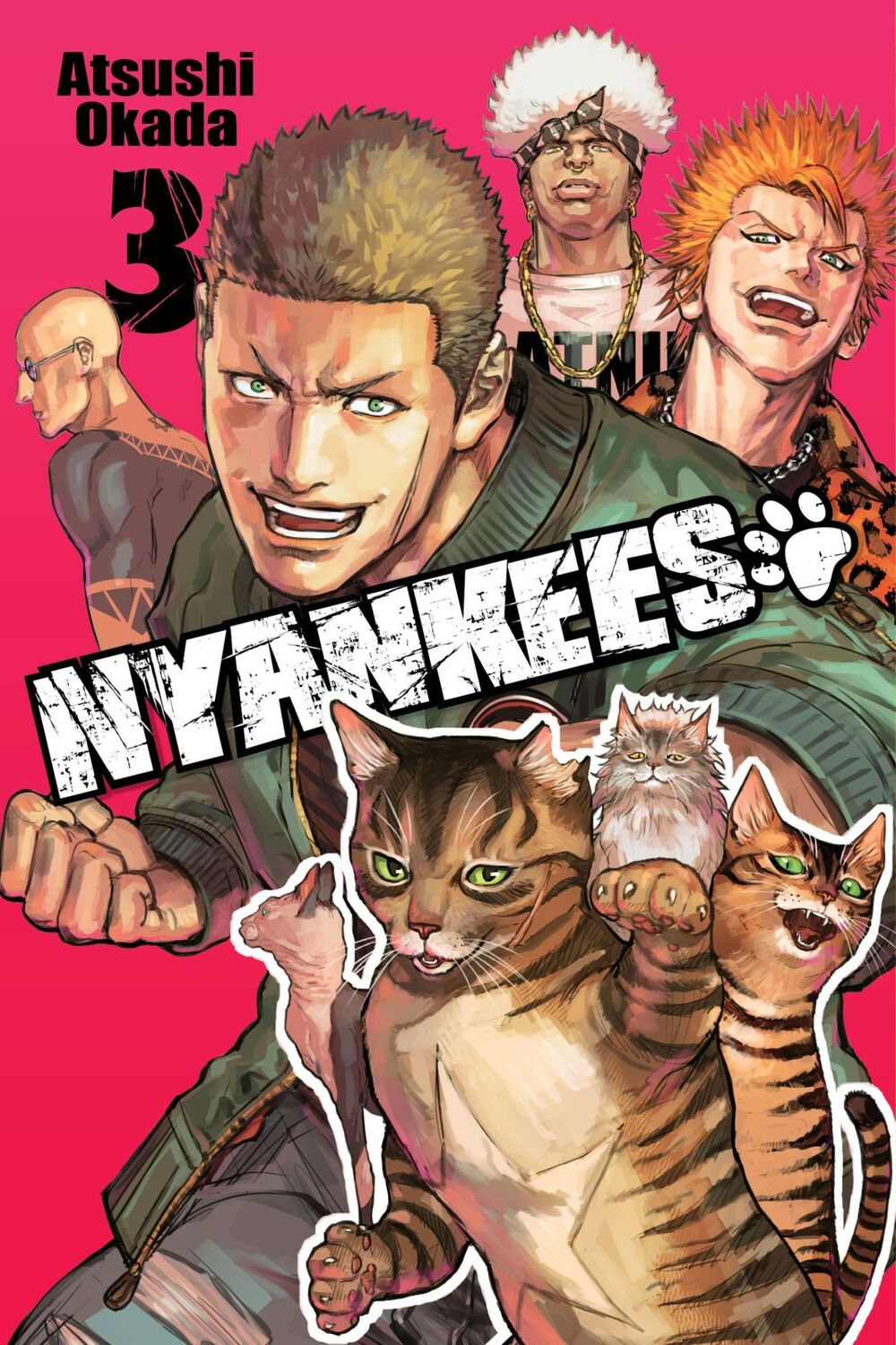 Cover: 9781975383435 | Nyankees, Vol. 3 | Atsushi Okada | Taschenbuch | Englisch | 2019