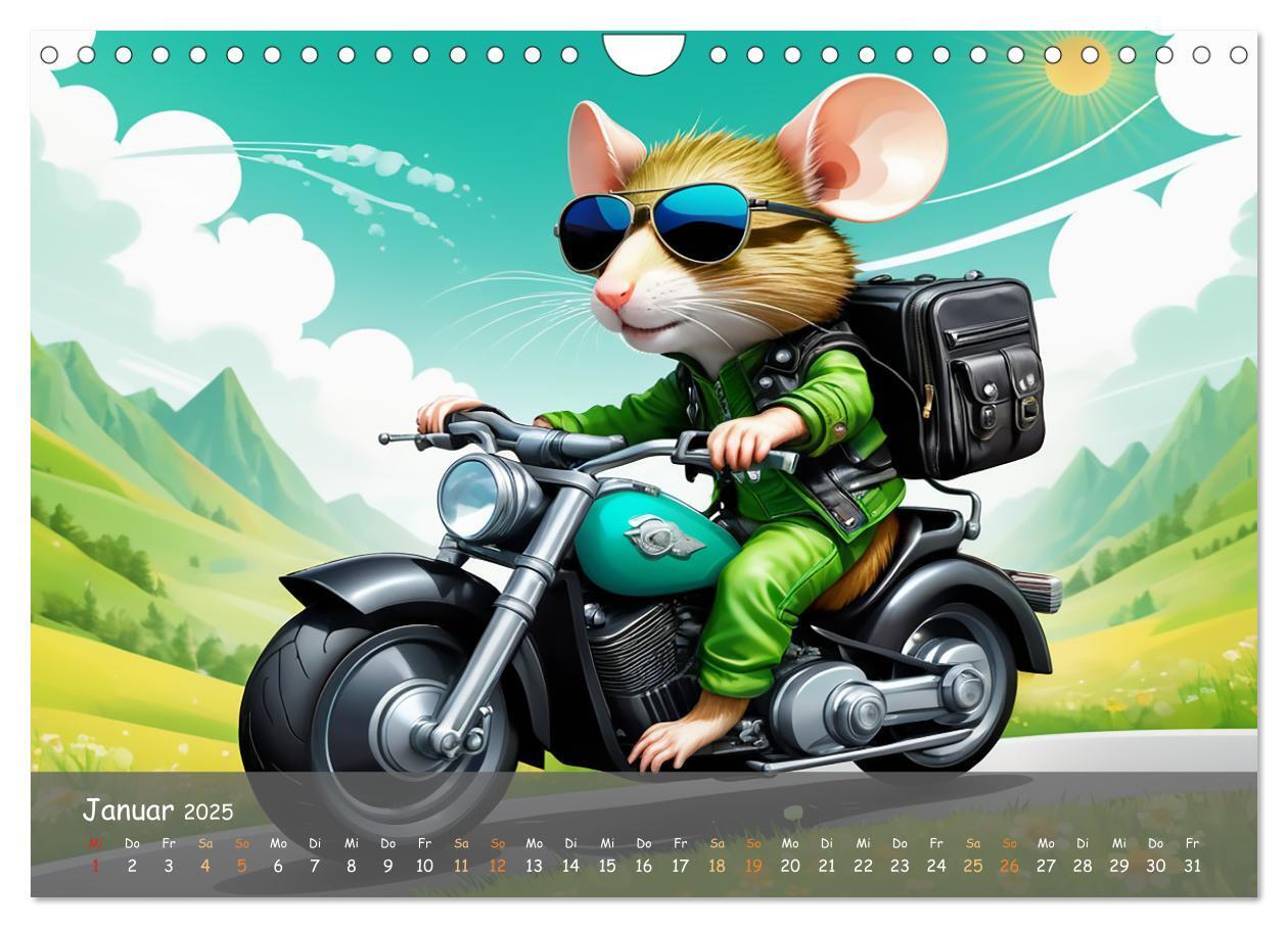 Bild: 9783457131404 | Tierische Motorradfahrer (Wandkalender 2025 DIN A4 quer), CALVENDO...