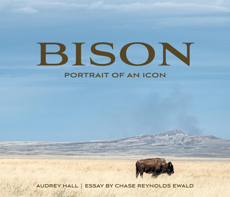 Cover: 9781423653752 | Bison | Portrait of an Icon | Chase Reynolds Ewald | Buch | Englisch