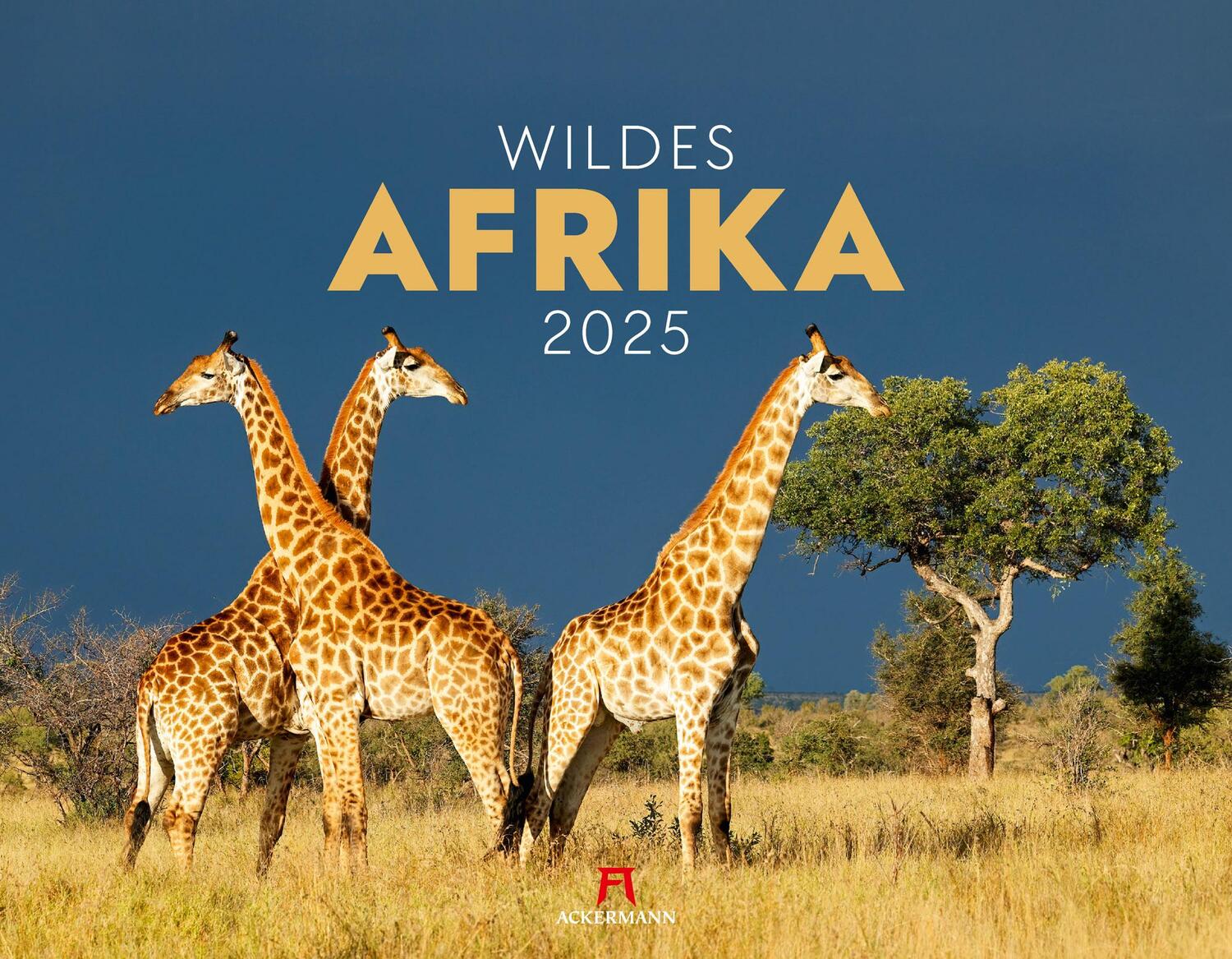 Cover: 9783838425900 | Wildes Afrika Kalender 2025 | Ackermann Kunstverlag | Kalender | 14 S.