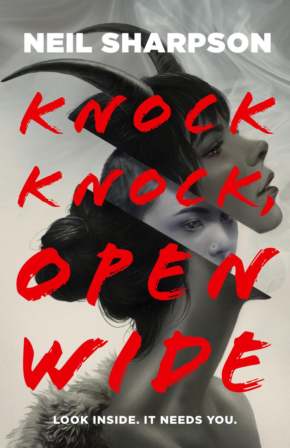 Autor: 9781250785428 | Knock Knock, Open Wide | Neil Sharpson | Buch | Englisch | 2023