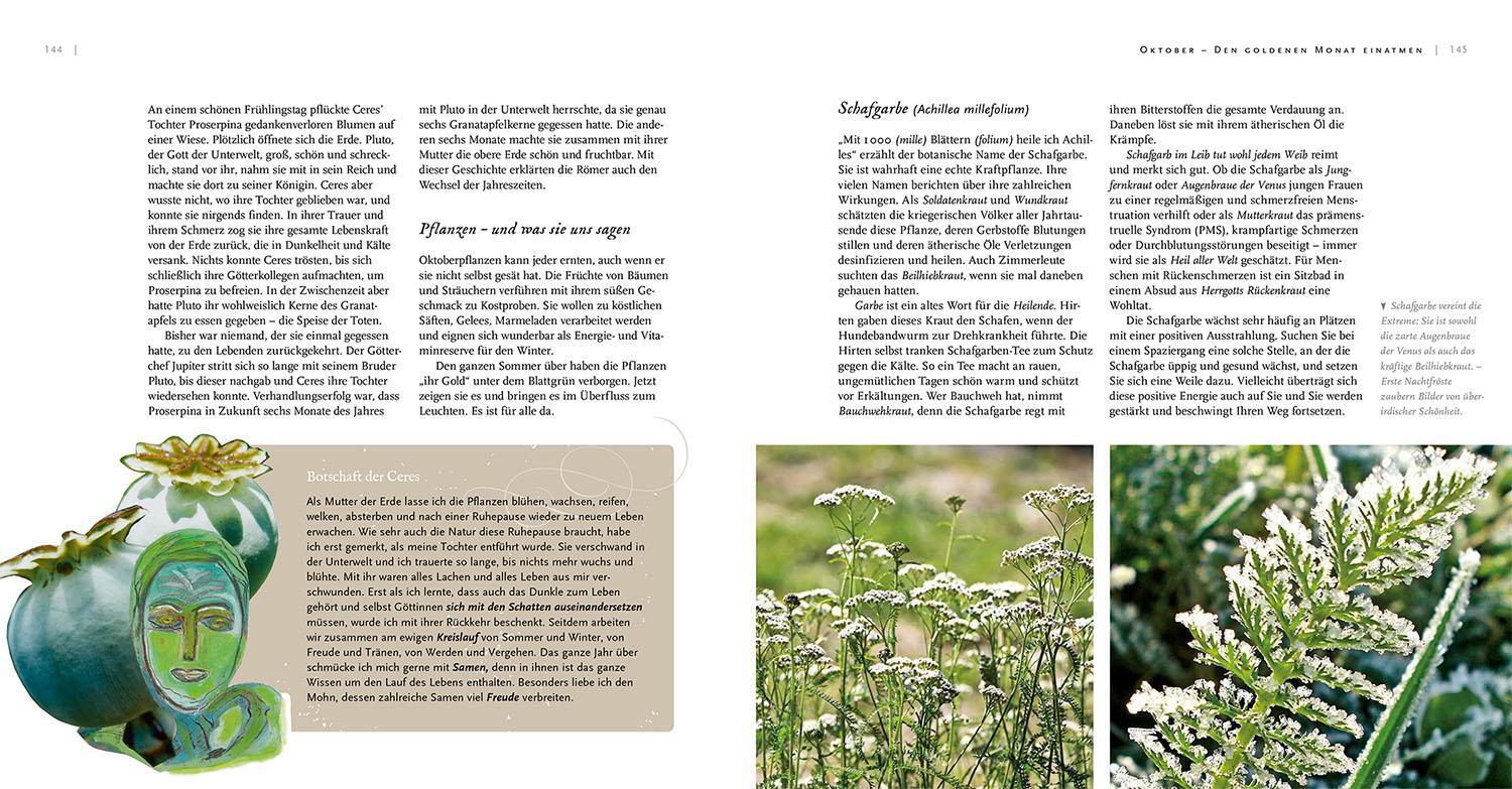 Bild: 9783968600666 | Pflanzengöttinnen und ihre Heilkräuter | Ursula Stumpf | Buch | 192 S.