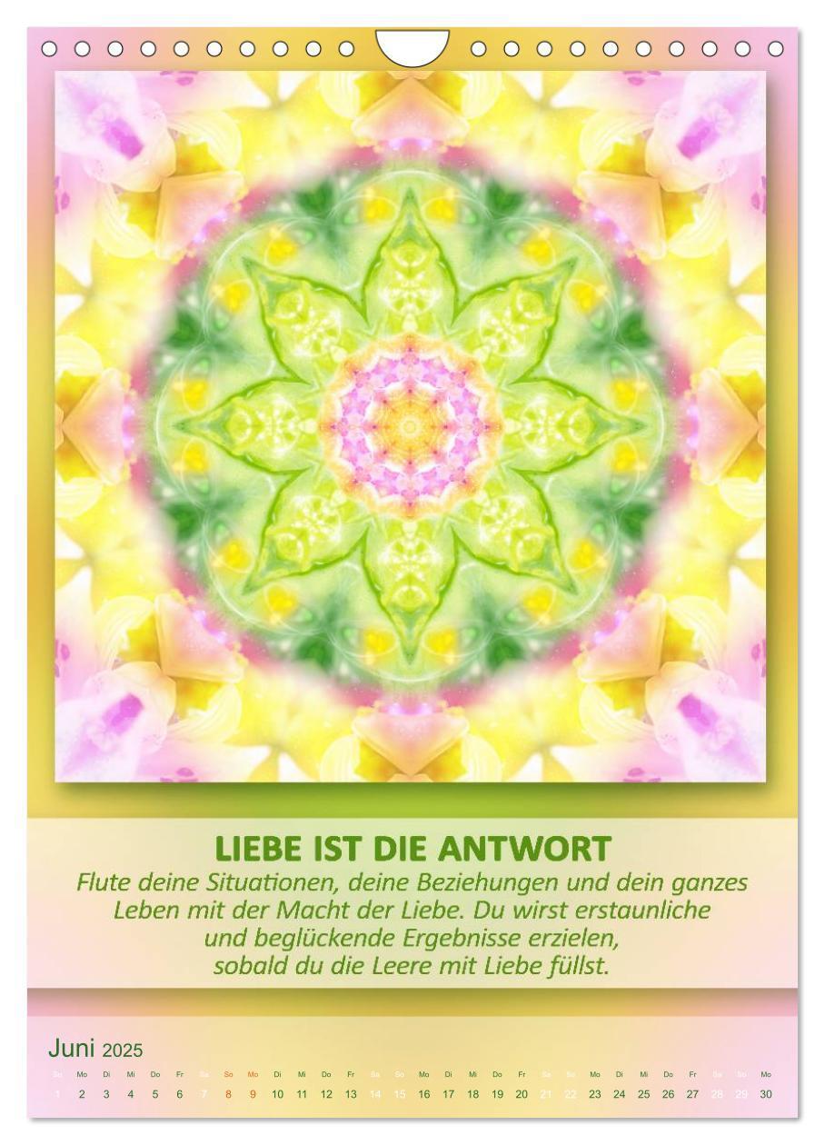 Bild: 9783457060971 | Light Energy Mandalas - Kalender - Vol. 2 (Wandkalender 2025 DIN A4...