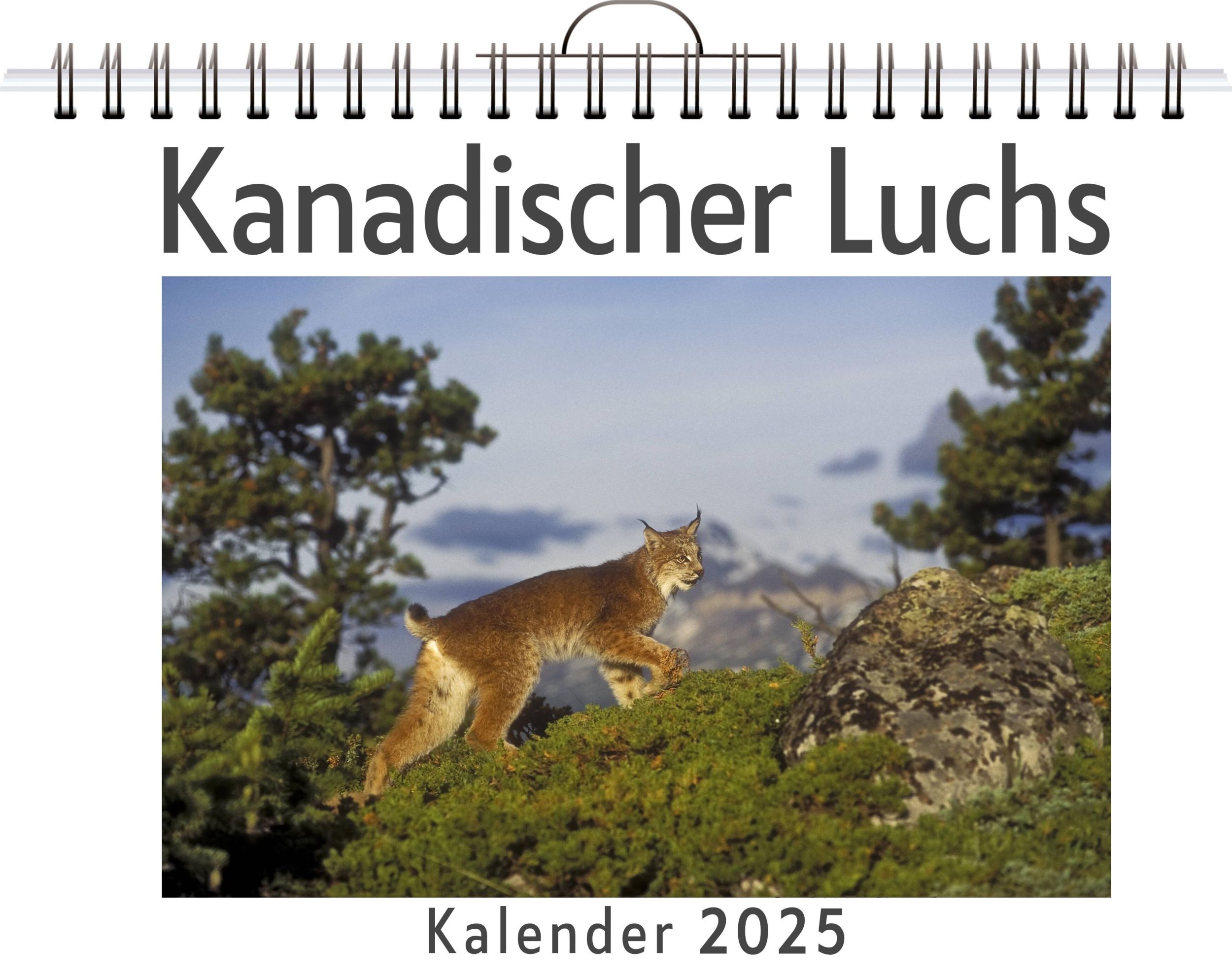 Cover: 9783759132383 | Kanadischer Luchs | Julian Weber | Kalender | Kalender | 14 S.