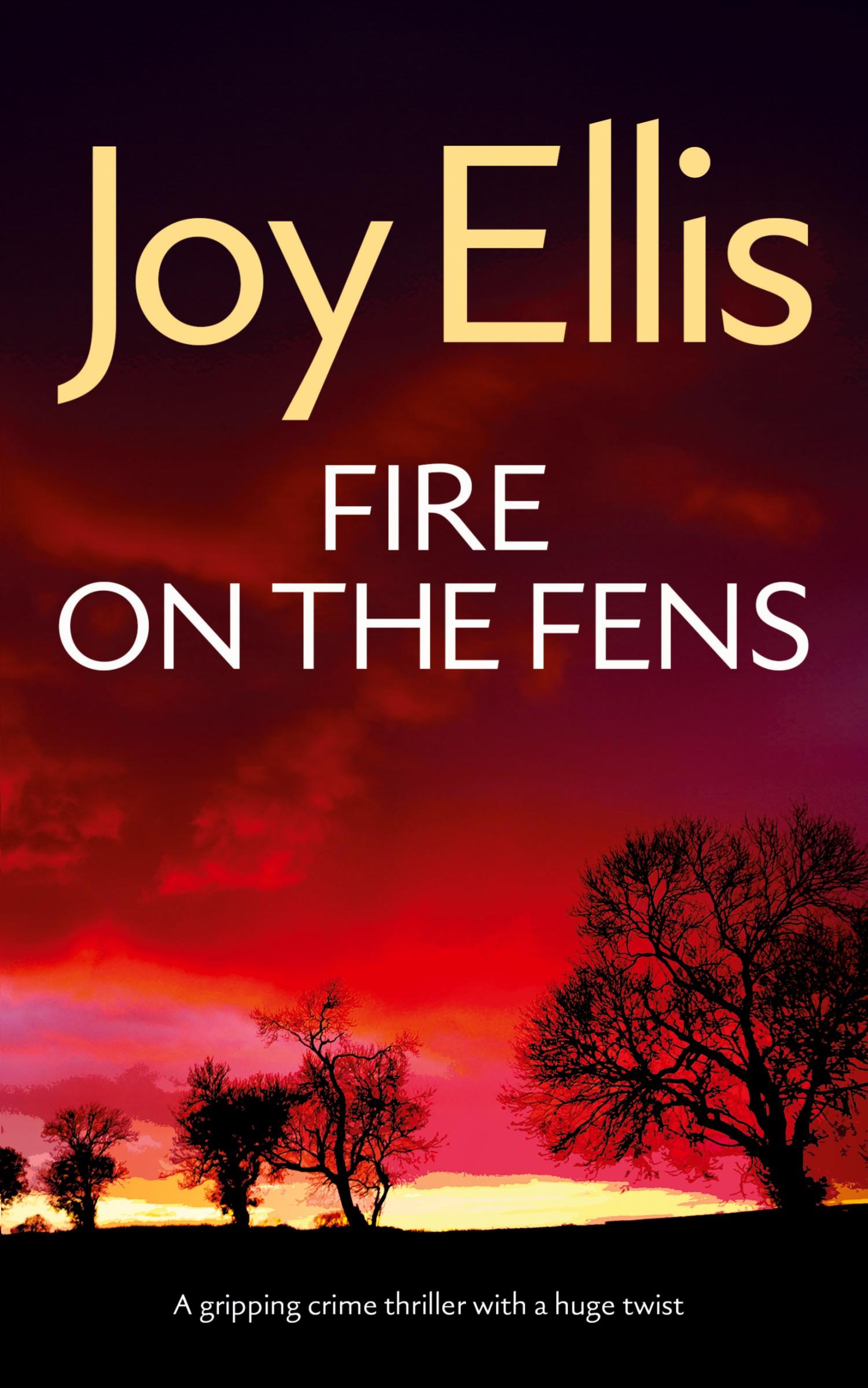 Cover: 9781835266106 | FIRE ON THE FENS a gripping crime thriller with a huge twist | Ellis