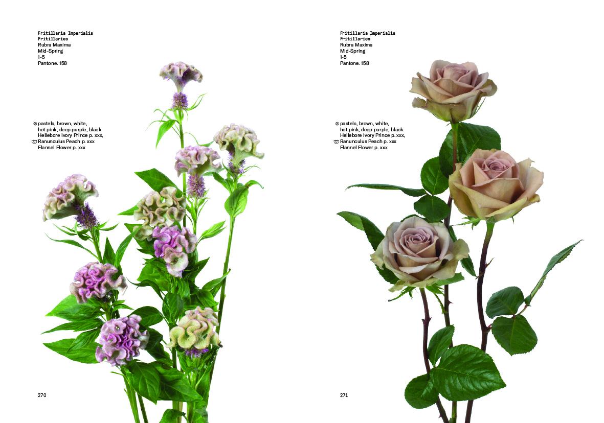 Bild: 9780714878300 | Flower Colour Guide | Darroch Putnam (u. a.) | Taschenbuch | 485 S.