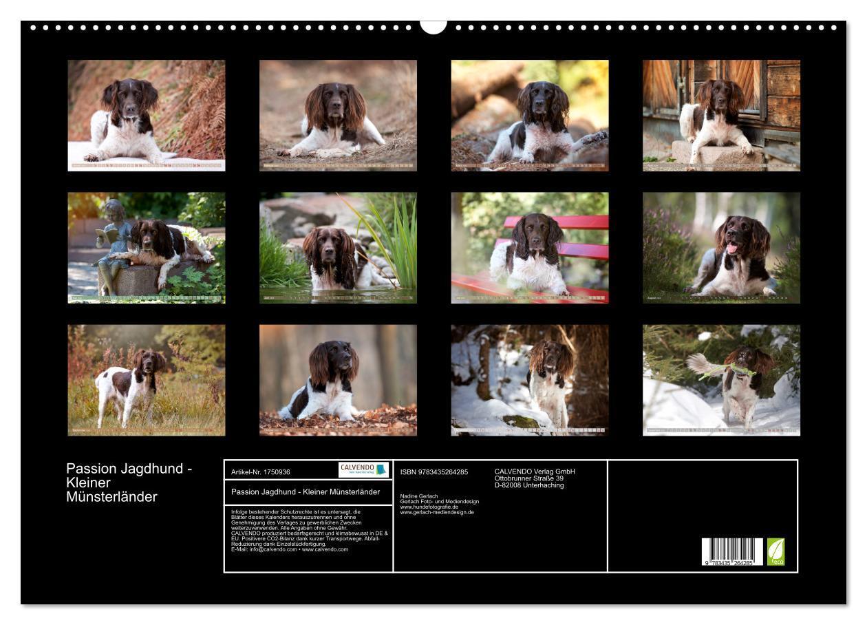 Bild: 9783435264285 | Passion Jagdhund - Kleiner Münsterländer (Wandkalender 2025 DIN A2...