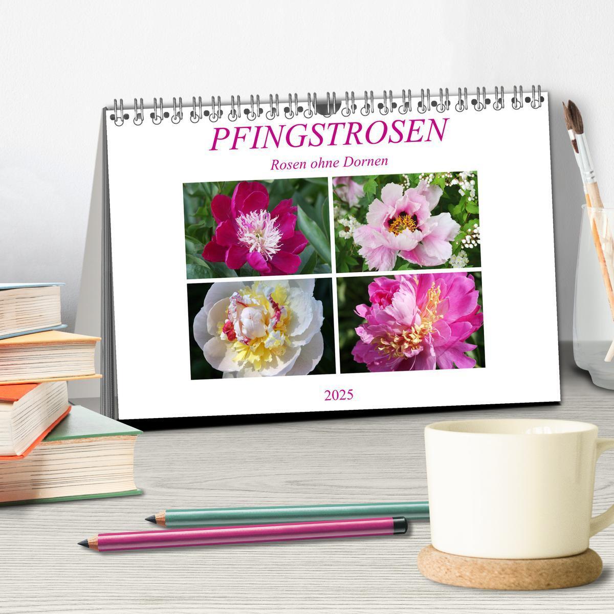 Bild: 9783435283996 | PFINGSTROSEN Rosen ohne Dornen (Tischkalender 2025 DIN A5 quer),...